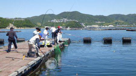 淡路じゃのひれフィッシングパーク 釣果
