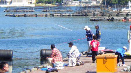 淡路じゃのひれフィッシングパーク 釣果