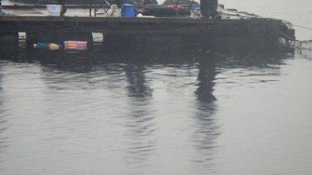 淡路じゃのひれフィッシングパーク 釣果