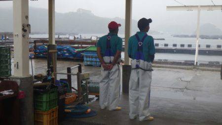 淡路じゃのひれフィッシングパーク 釣果