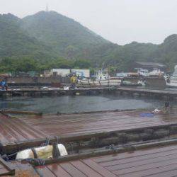 淡路じゃのひれフィッシングパーク 釣果