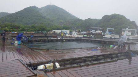 淡路じゃのひれフィッシングパーク 釣果