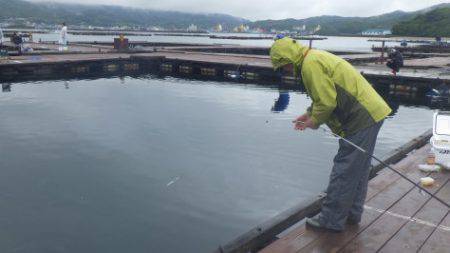 淡路じゃのひれフィッシングパーク 釣果