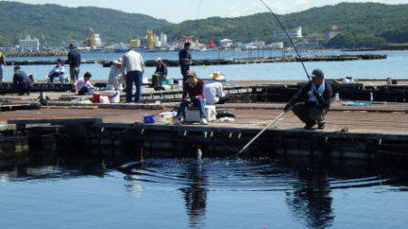 淡路じゃのひれフィッシングパーク 釣果