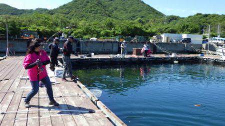 淡路じゃのひれフィッシングパーク 釣果