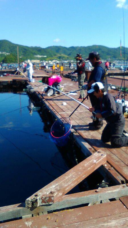 淡路じゃのひれフィッシングパーク 釣果