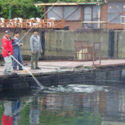 淡路じゃのひれフィッシングパーク 釣果