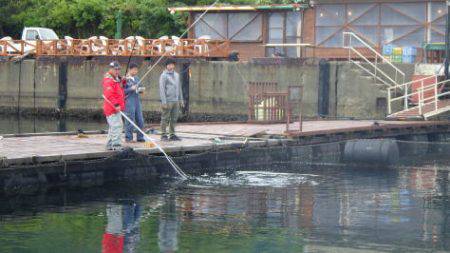 淡路じゃのひれフィッシングパーク 釣果