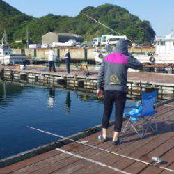 淡路じゃのひれフィッシングパーク 釣果