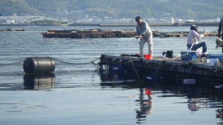 淡路じゃのひれフィッシングパーク 釣果