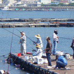 淡路じゃのひれフィッシングパーク 釣果