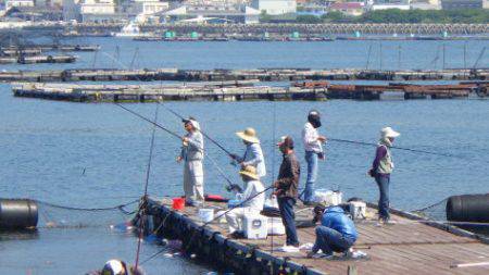 淡路じゃのひれフィッシングパーク 釣果