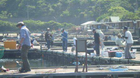 淡路じゃのひれフィッシングパーク 釣果