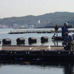 淡路じゃのひれフィッシングパーク 釣果