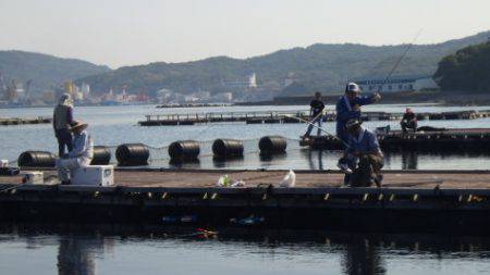 淡路じゃのひれフィッシングパーク 釣果