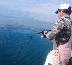 IDATEN(イダテン) 釣果