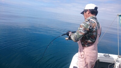 IDATEN(イダテン) 釣果