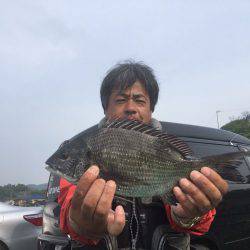 由良渡船 釣果