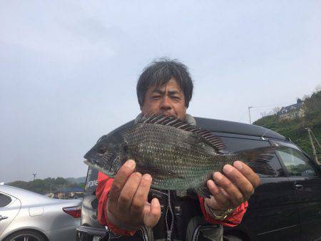 由良渡船 釣果