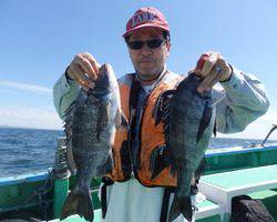 久里浜黒川本家 釣果