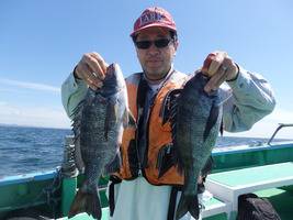 久里浜黒川本家 釣果