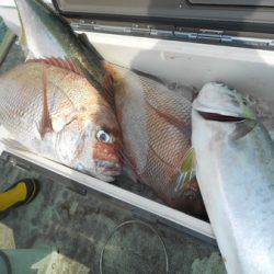 こうゆう丸 釣果