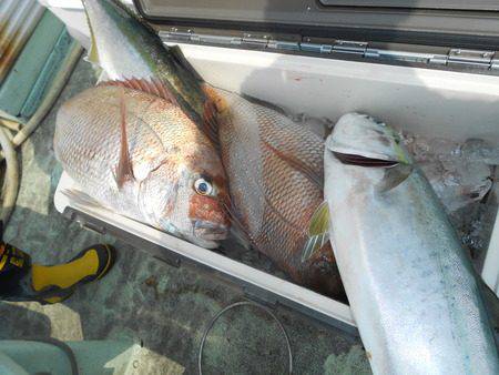 こうゆう丸 釣果