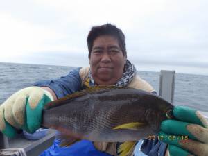 石川丸 釣果