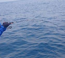 IDATEN(イダテン) 釣果