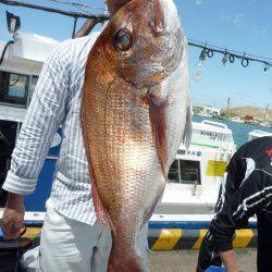 浅間丸 釣果