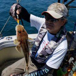 遊漁船 ニライカナイ 釣果