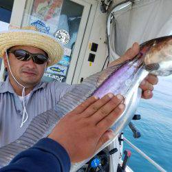 遊漁船 ニライカナイ 釣果