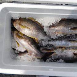 第二大福丸 釣果