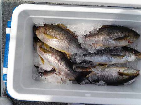 第二大福丸 釣果