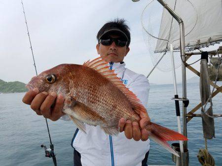 遊漁船　ニライカナイ 釣果