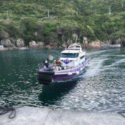 鵜来島家本渡船 釣果