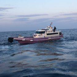 鵜来島家本渡船 釣果