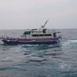 鵜来島家本渡船 釣果