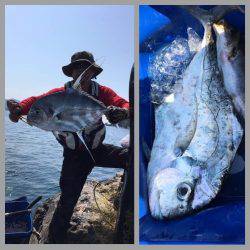 鵜来島家本渡船 釣果