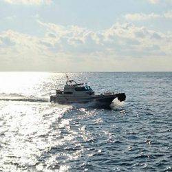 鵜来島家本渡船 釣果