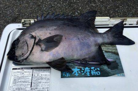 鵜来島家本渡船 釣果