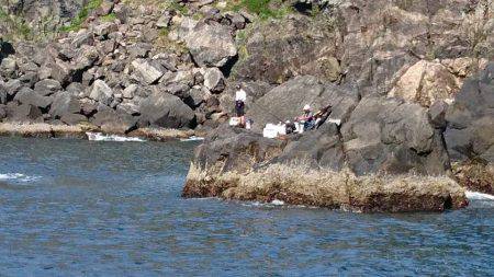 鵜来島家本渡船 釣果