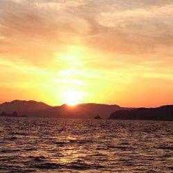 鵜来島家本渡船 釣果