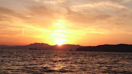 鵜来島家本渡船 釣果