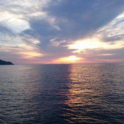 鵜来島家本渡船 釣果