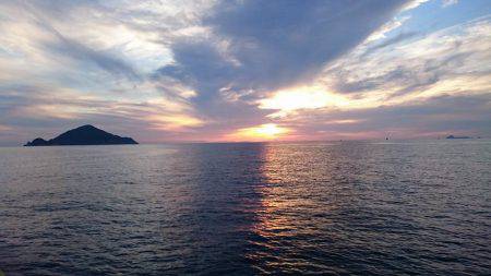 鵜来島家本渡船 釣果