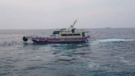 鵜来島家本渡船 釣果