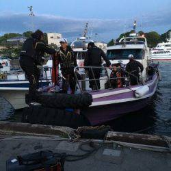 鵜来島家本渡船 釣果