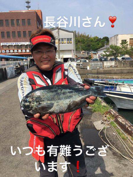 鵜来島家本渡船 釣果