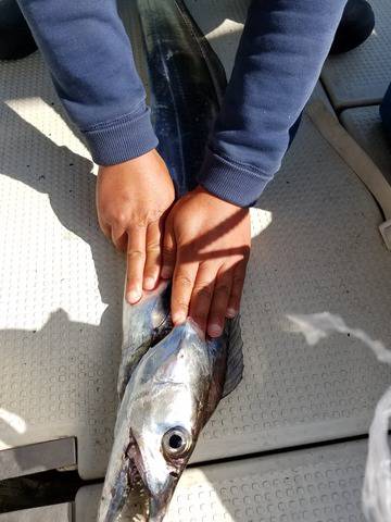 遊漁船 ニライカナイ 釣果